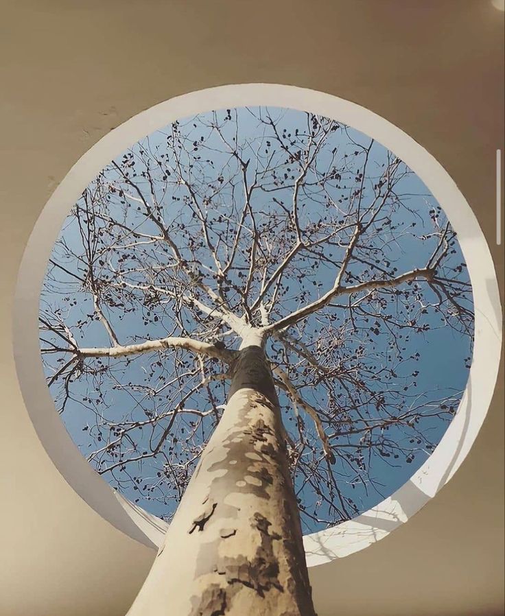 Slider Image 2